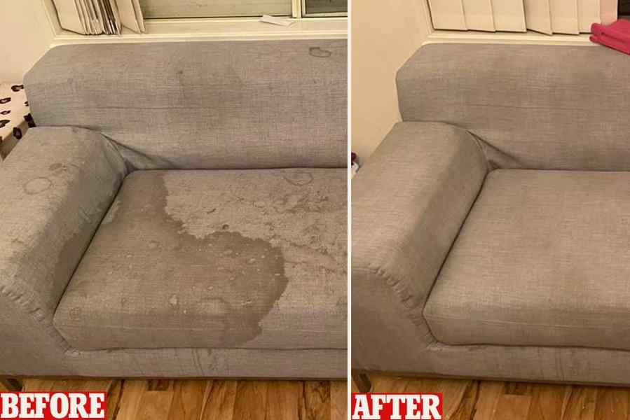 Professional Sofa Cleaning Services in Nairobi